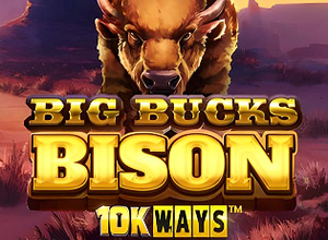 Big Bucks Bison 10k Ways