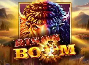 Bison Boom