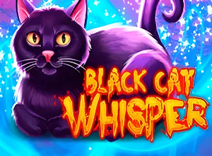 Black Cat Whisper