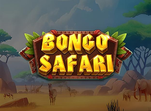 Bongo Safari