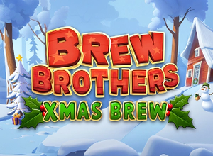 Brew Brothers Xmas Brew