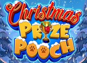 Christmas Prize Pooch