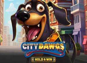 City Dawgs Hold and Win