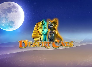 Desert Cats