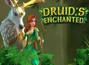 Druids Enchanted