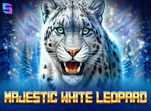 Majestic White Leopard