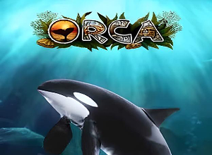 Orca