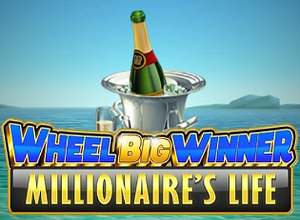 Wheel Big Winner Millionaires Life