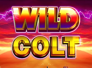 Wild Colt