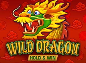 Wild Dragon Hold and Win